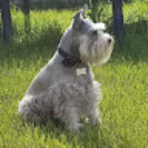 Meet your Posher, Claudia